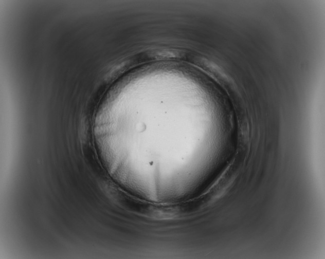 X0000085210359200703301647