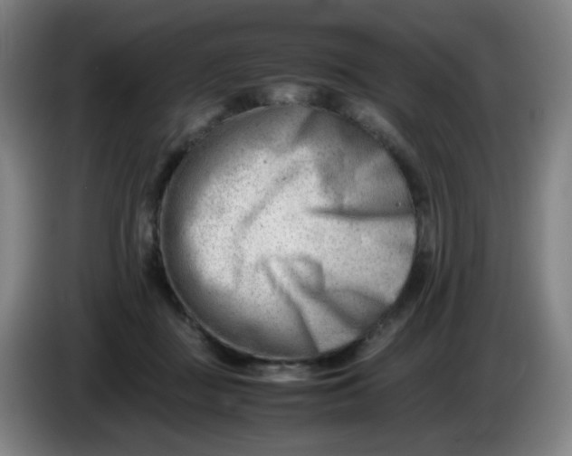 X0000085210363200703301647