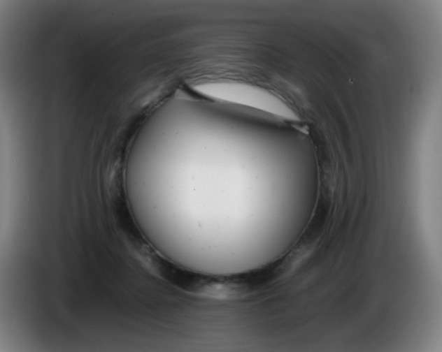 X0000085210364200703301647