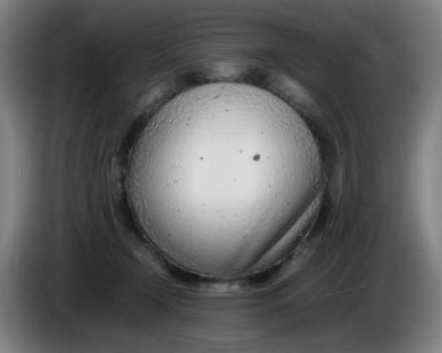 X0000085210366200703301647