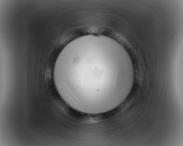 X0000085210368200703301647