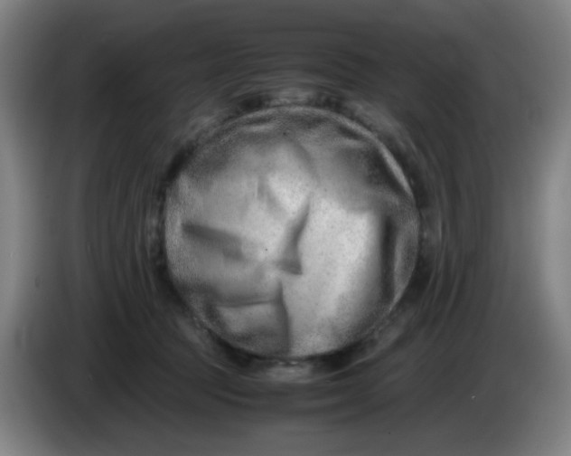 X0000085210369200703301647