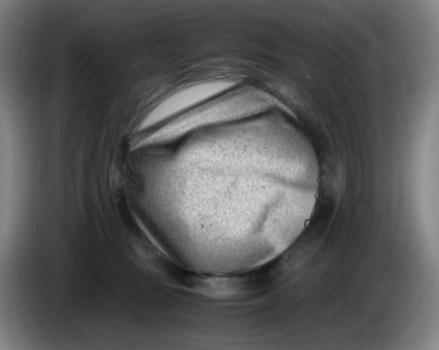 X0000085210371200703301647