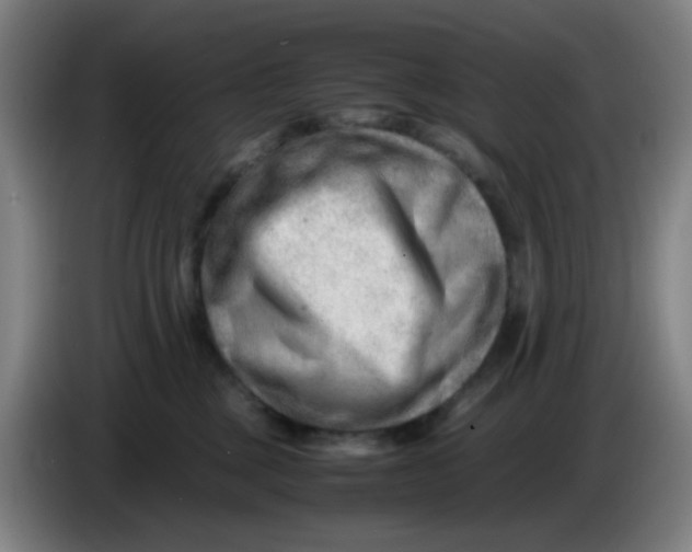 X0000085210377200703301647