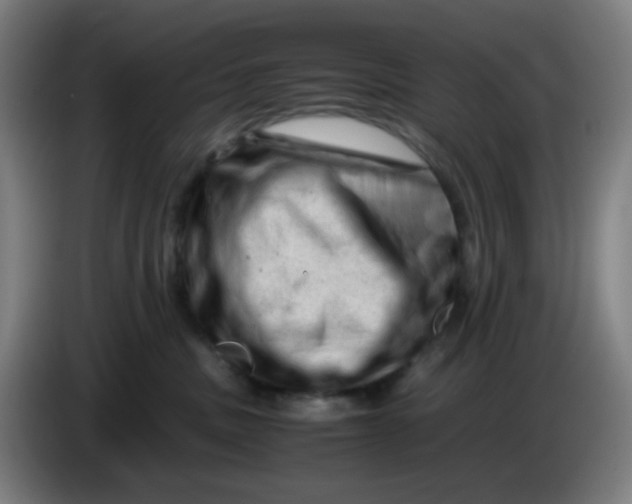 X0000085210379200703301647