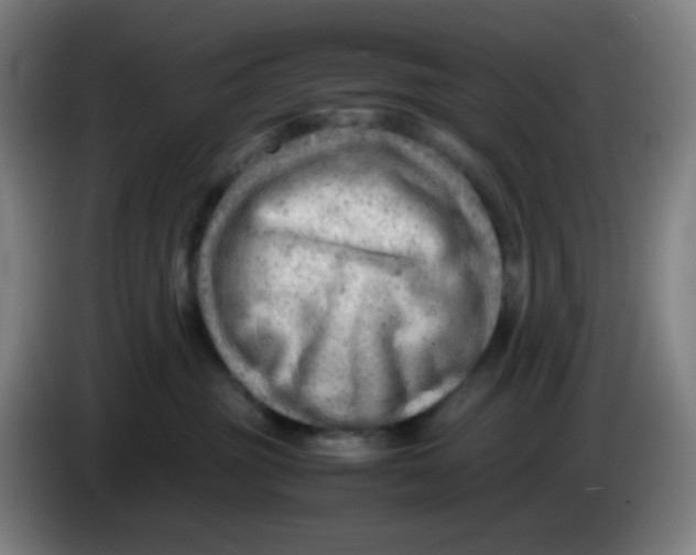 X0000085210381200703301647