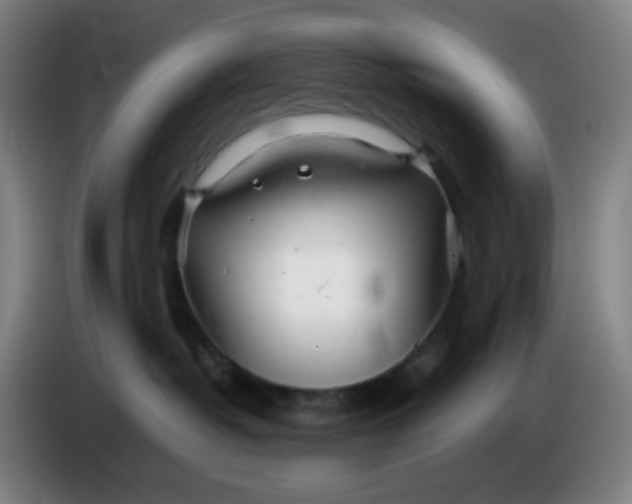 X0000085210382200703301647