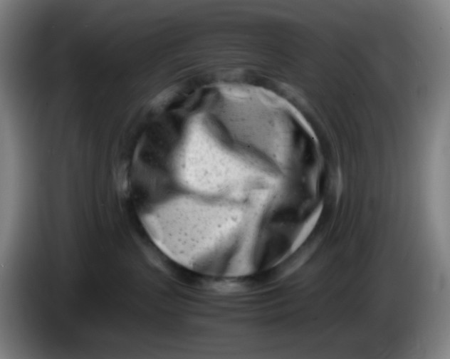 X0000085210383200703301647