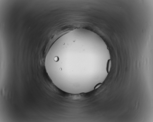 X0000085210384200703301647