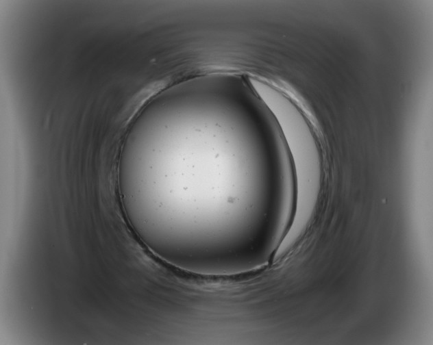 X0000085210385200703301646