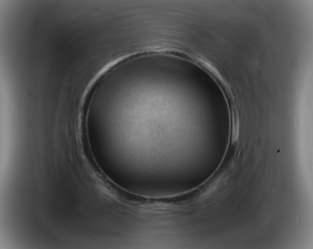 X0000085210387200703301646