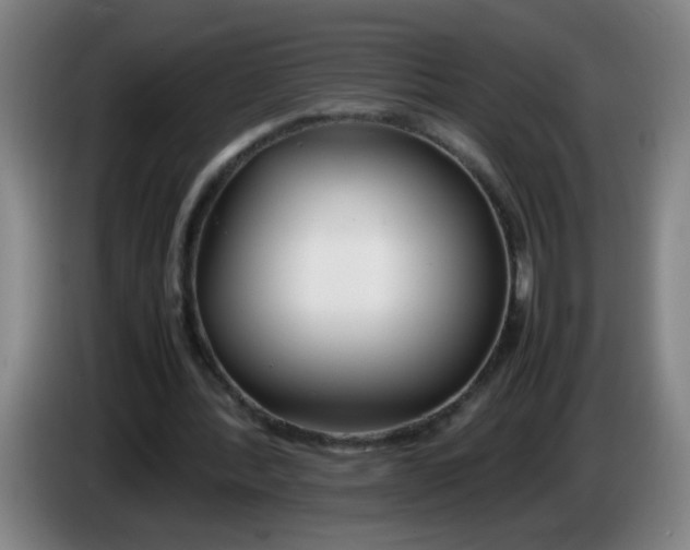 X0000085210388200703301646