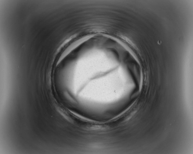 X0000085210390200703301646