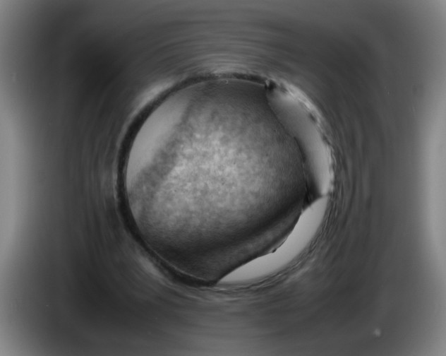 X0000085210391200703301646