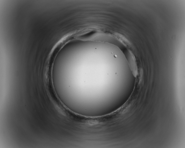 X0000085210392200703301646