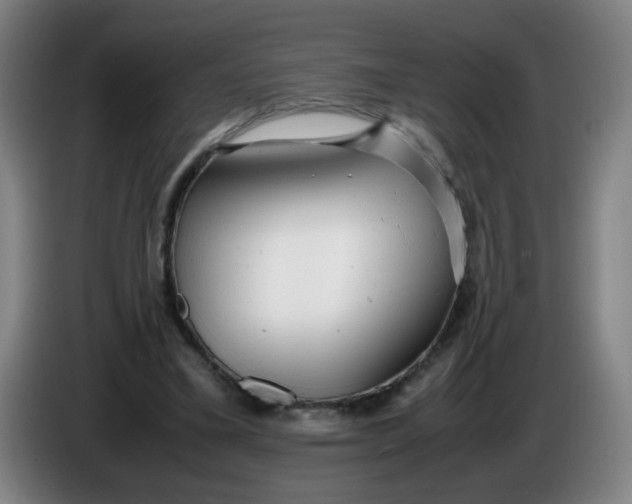 X0000085210395200703301646