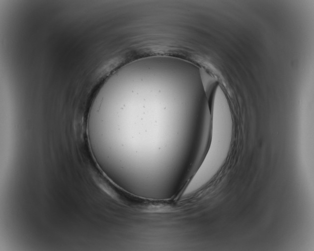 X0000085210397200703301646