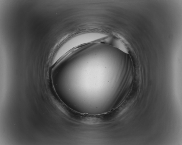 X0000085210399200703301646