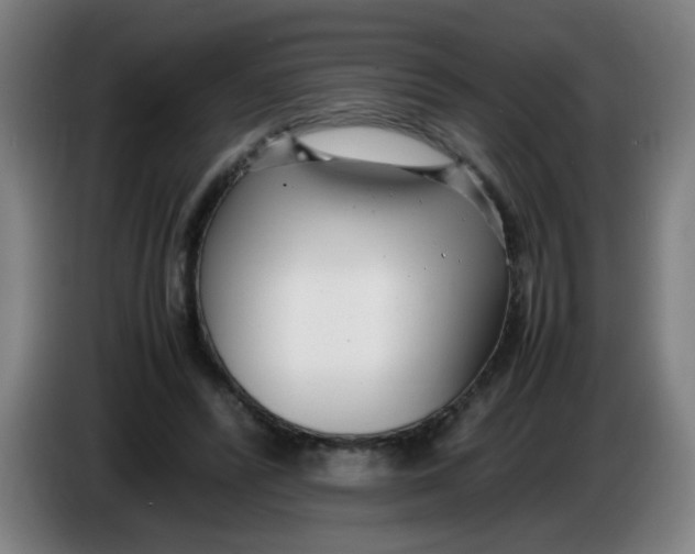 X0000085210400200703301646