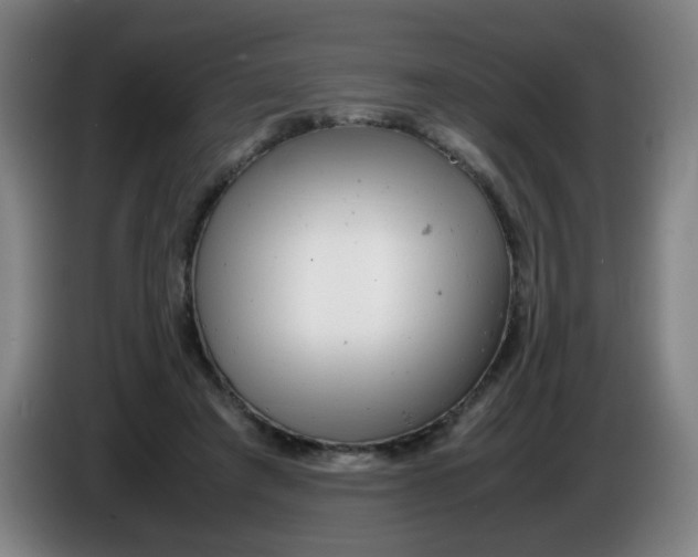 X0000085210401200703301646