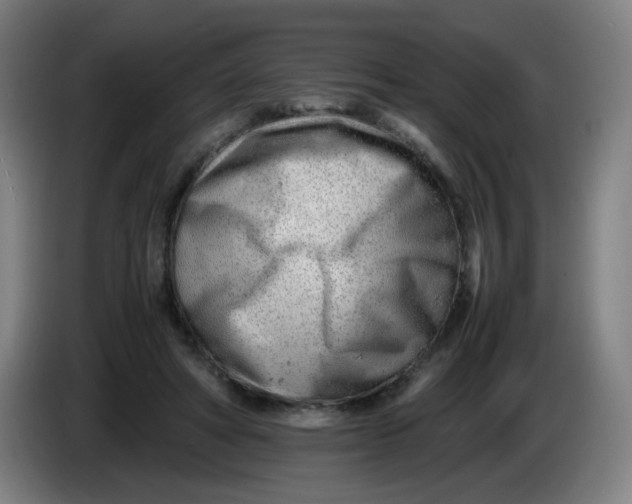 X0000085210402200703301646