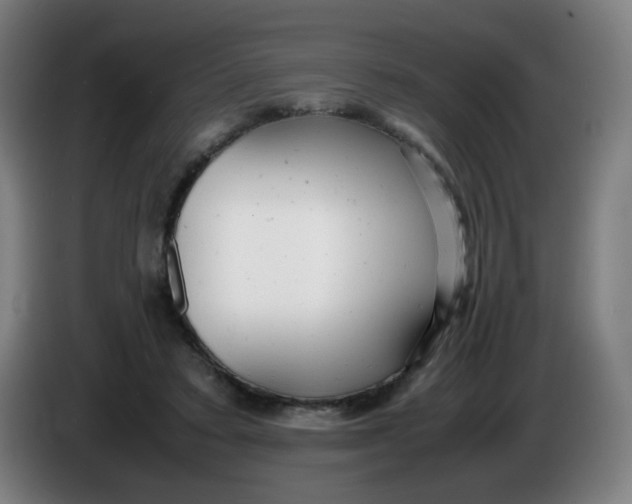 X0000085210403200703301646