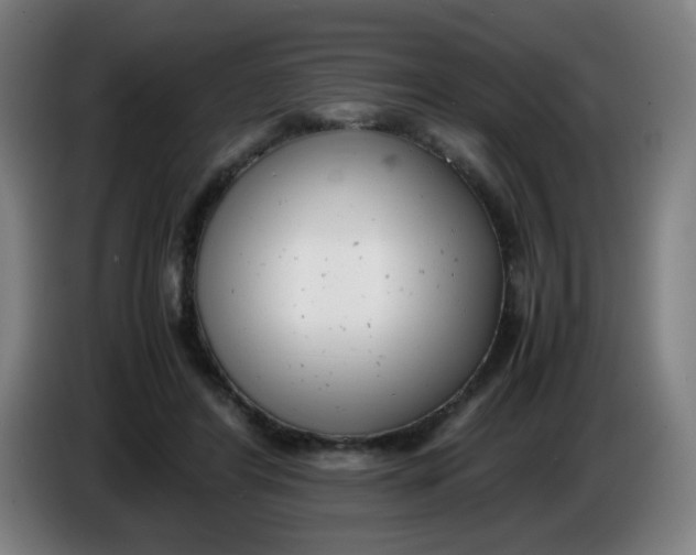 X0000085210404200703301646