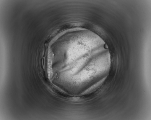 X0000085210406200703301646