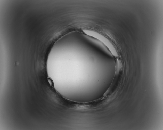 X0000085210407200703301646