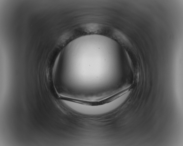 X0000085210408200703301646