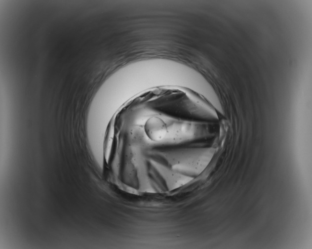 X0000085210412200703301646