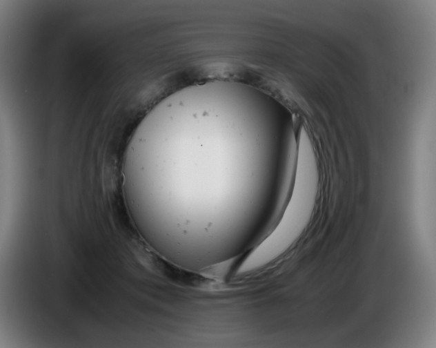 X0000085210413200703301646