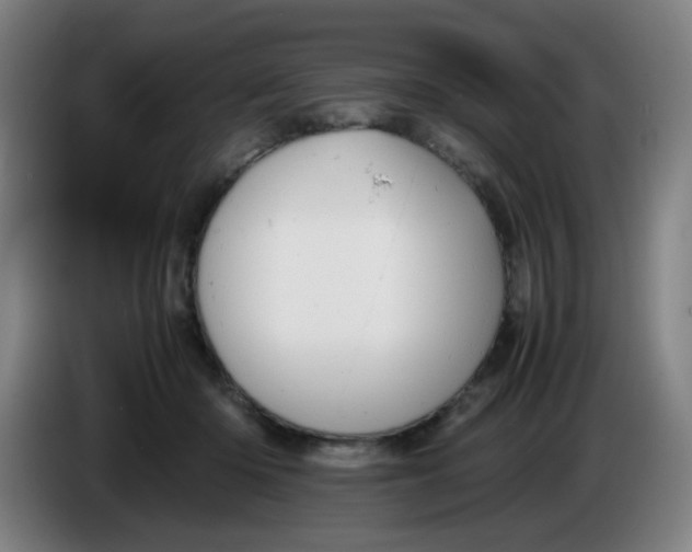 X0000085210414200703301646