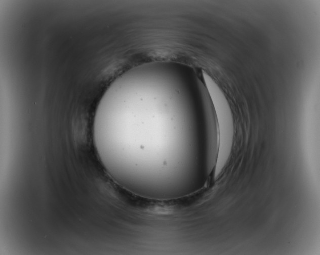 X0000085210416200703301646