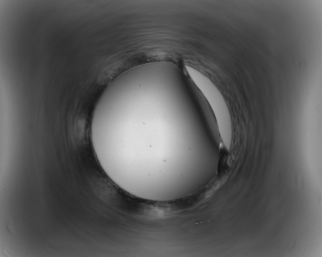 X0000085210420200703301646