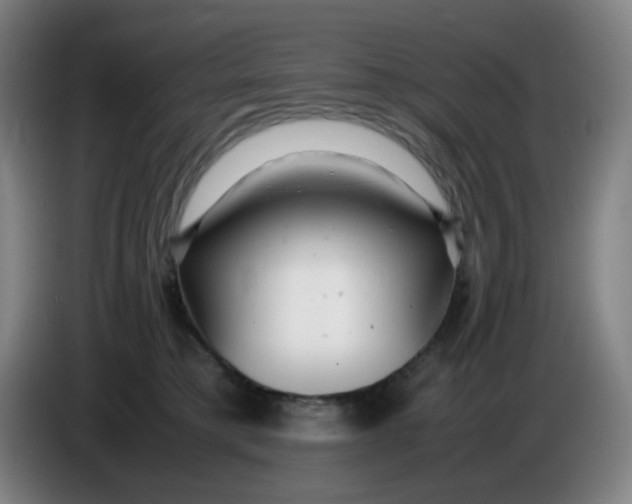 X0000085210421200703301646