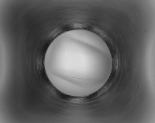 X0000085210422200703301646