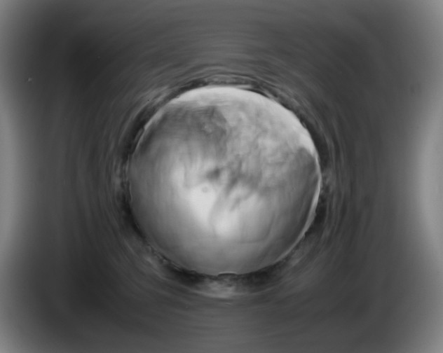 X0000085210423200703301646