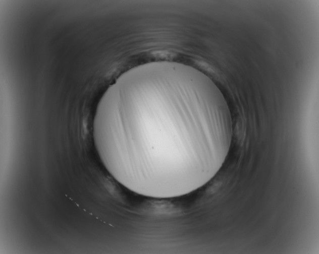 X0000085210424200703301646