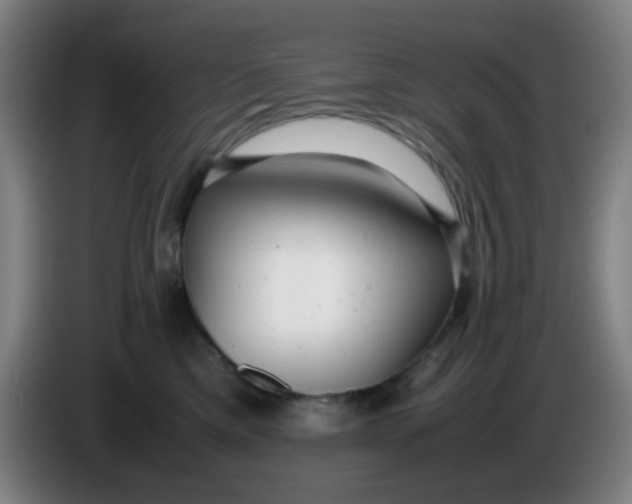 X0000085210425200703301646