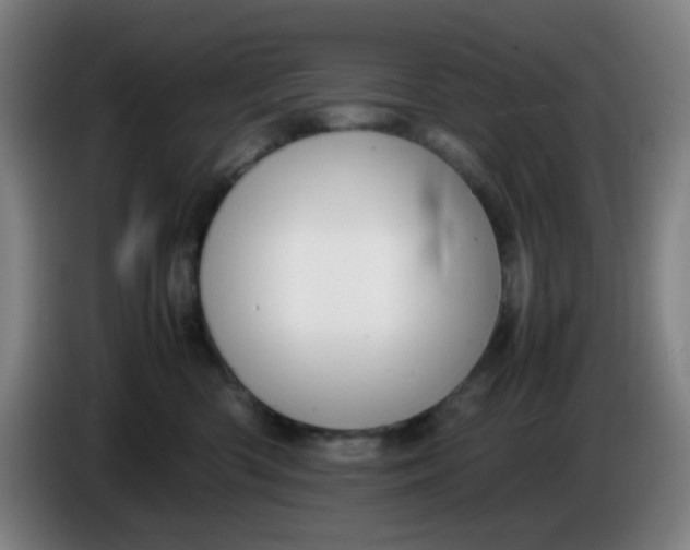 X0000085210426200703301646