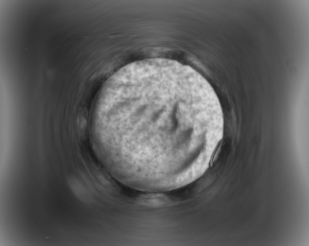 X0000085210427200703301646