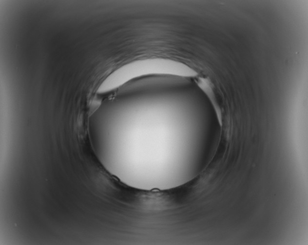 X0000085210428200703301646