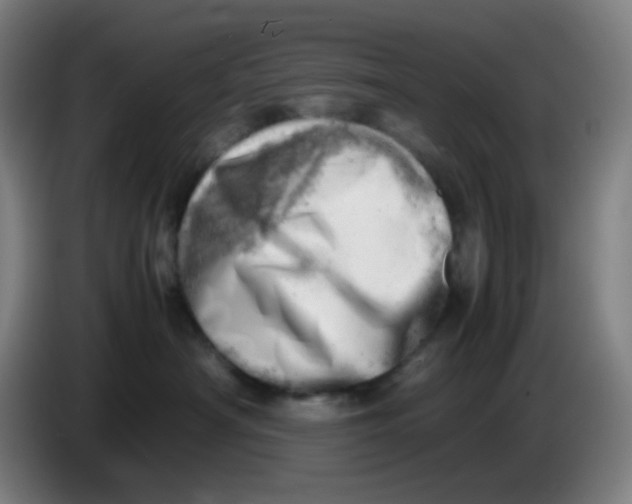 X0000085210430200703301646