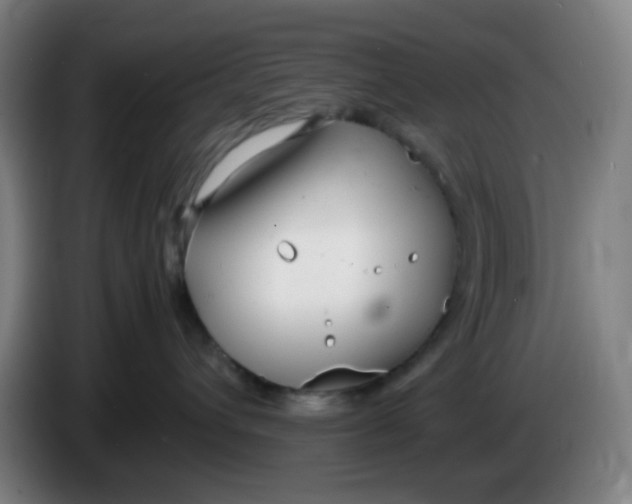 X0000085210432200703301646