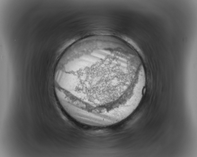 X0000085210433200703301645