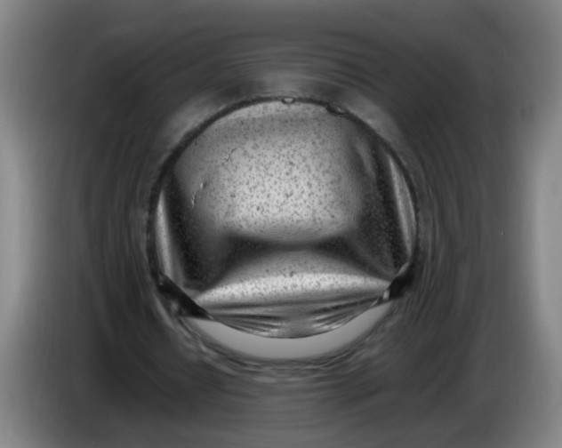 X0000085210434200703301645