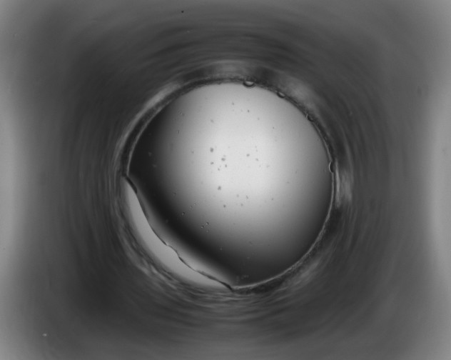 X0000085210435200703301645