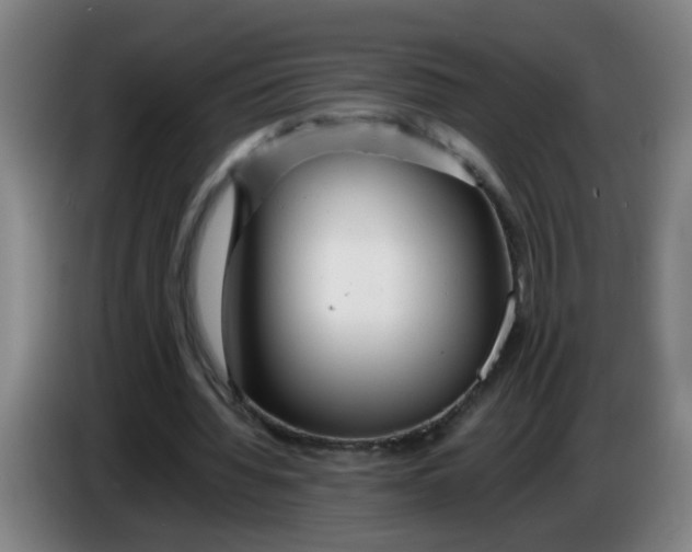 X0000085210436200703301645