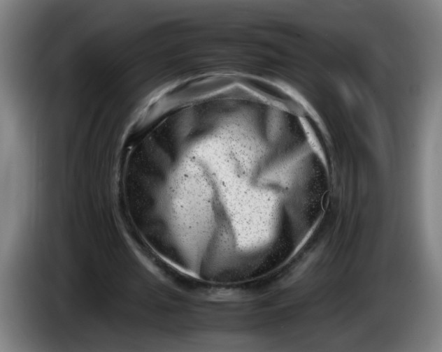 X0000085210437200703301645